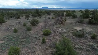 LOT 20 HORSESHOE CIR 