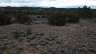 LOT 20 HORSESHOE CIR 
