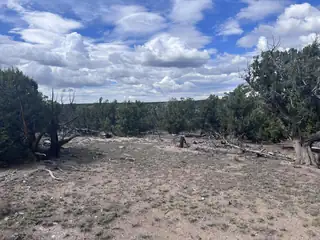 LOT 20 HORSESHOE CIR 