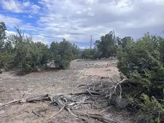 LOT 20 HORSESHOE CIR 