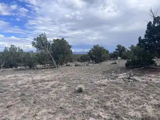 LOT 20 HORSESHOE CIR 