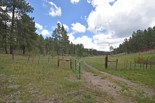 27.5 Acres Jemez Mountain Forest Rd 10 