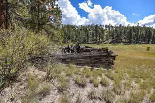 27.5 Acres Jemez Mountain Forest Rd 10 