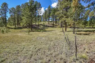 27.5 Acres Jemez Mountain Forest Rd 10 