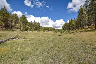 27.5 Acres Jemez Mountain Forest Rd 10 