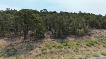 132 Prestige Drive, Tijeras 