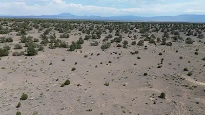 LOT 103 TEE PEE TRL, Quemado 