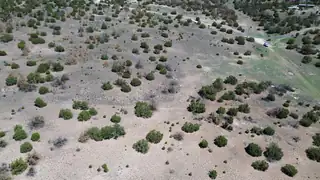 LOT 13 Cimarron Drive 