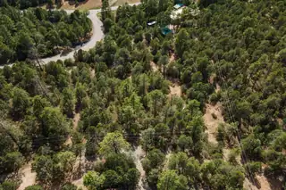 5 Stevenwald Road 
