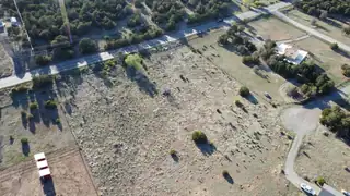 wildlife Trail 