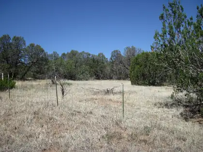 156 Jesse James Road, Edgewood 