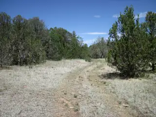 156 Jesse James Road 