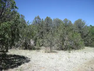 156 Jesse James Road 