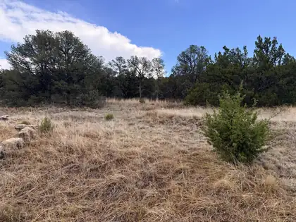 Lot 8 Horseshoe Bend Road, Edgewood 