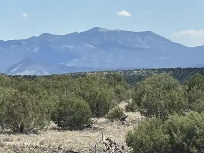 Lot 24 Pinon Springs Road, Magdalena 
