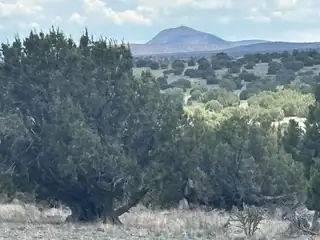 Lot 24 Pinon Springs Road 