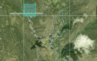 Pecos NM Forest 83 - 40 Acres 