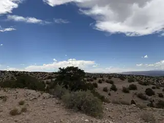 Caballo Palido 