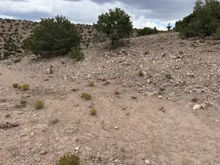 Caballo Palido 
