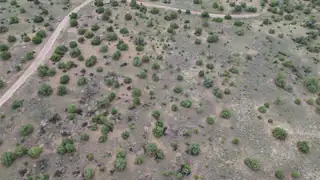 LOT 47 RUNNING BEAR BLVD 