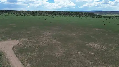 LOT 169 DEER CIRCLE, Quemado 