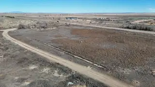 Pumpkin Patch Road 