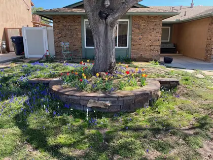 7108 Vivian Drive NE, Albuquerque