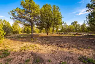 109 El Saguan Loop 