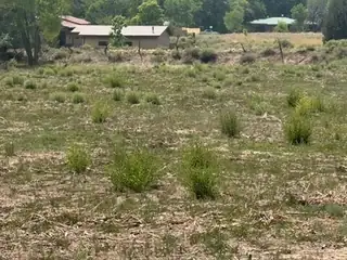 US 84-285 