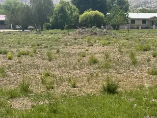 US 84-285 