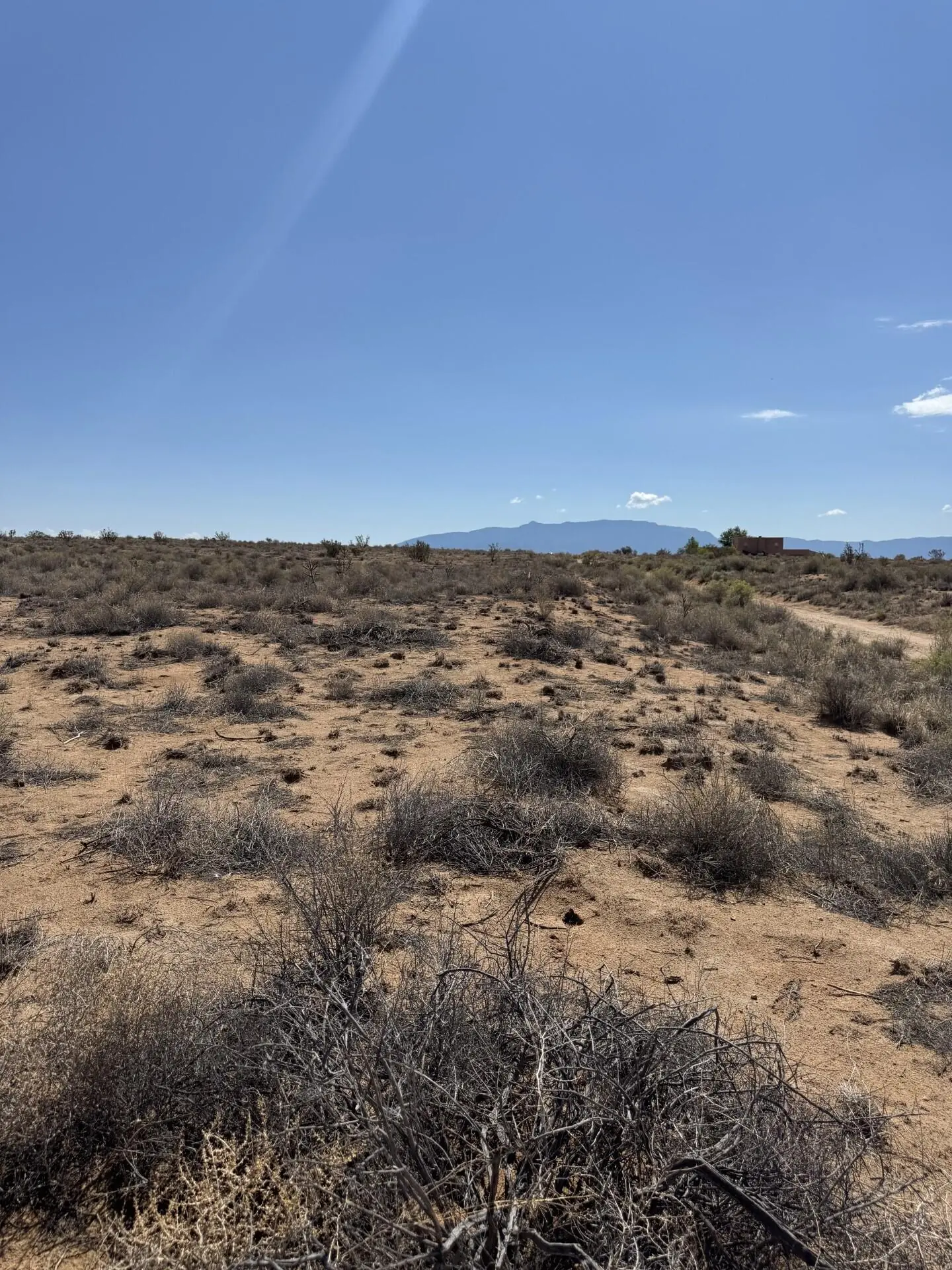 12th Avenue SE Lot 40
