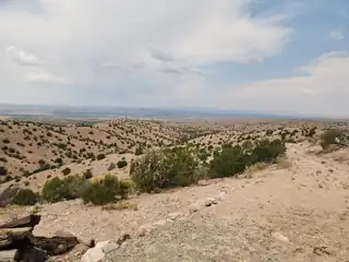 FLYING DOG RD 