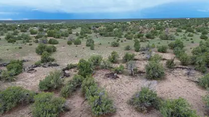 LOT 36 ARROW LN, Quemado 