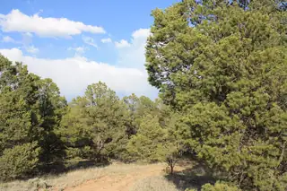 7 Branding Iron Road 