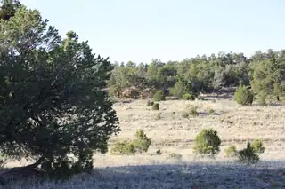 7 Branding Iron Road 