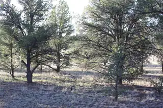 7 Branding Iron Road 