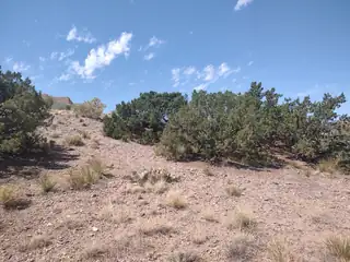 Santa Ana Loop 