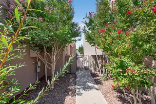 8855 Desert Fox Way NE 