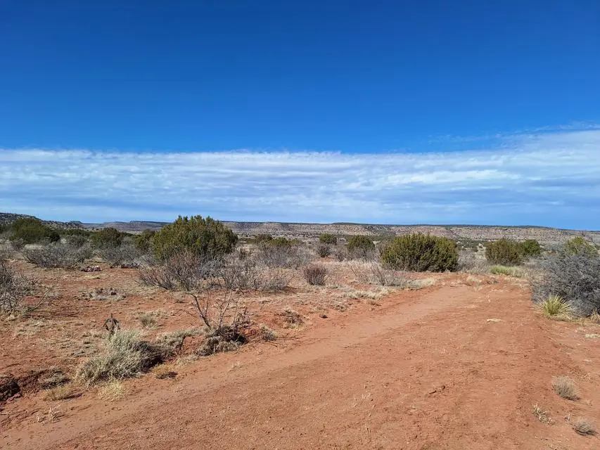E Magnolia Road