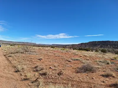 E Magnolia Road 