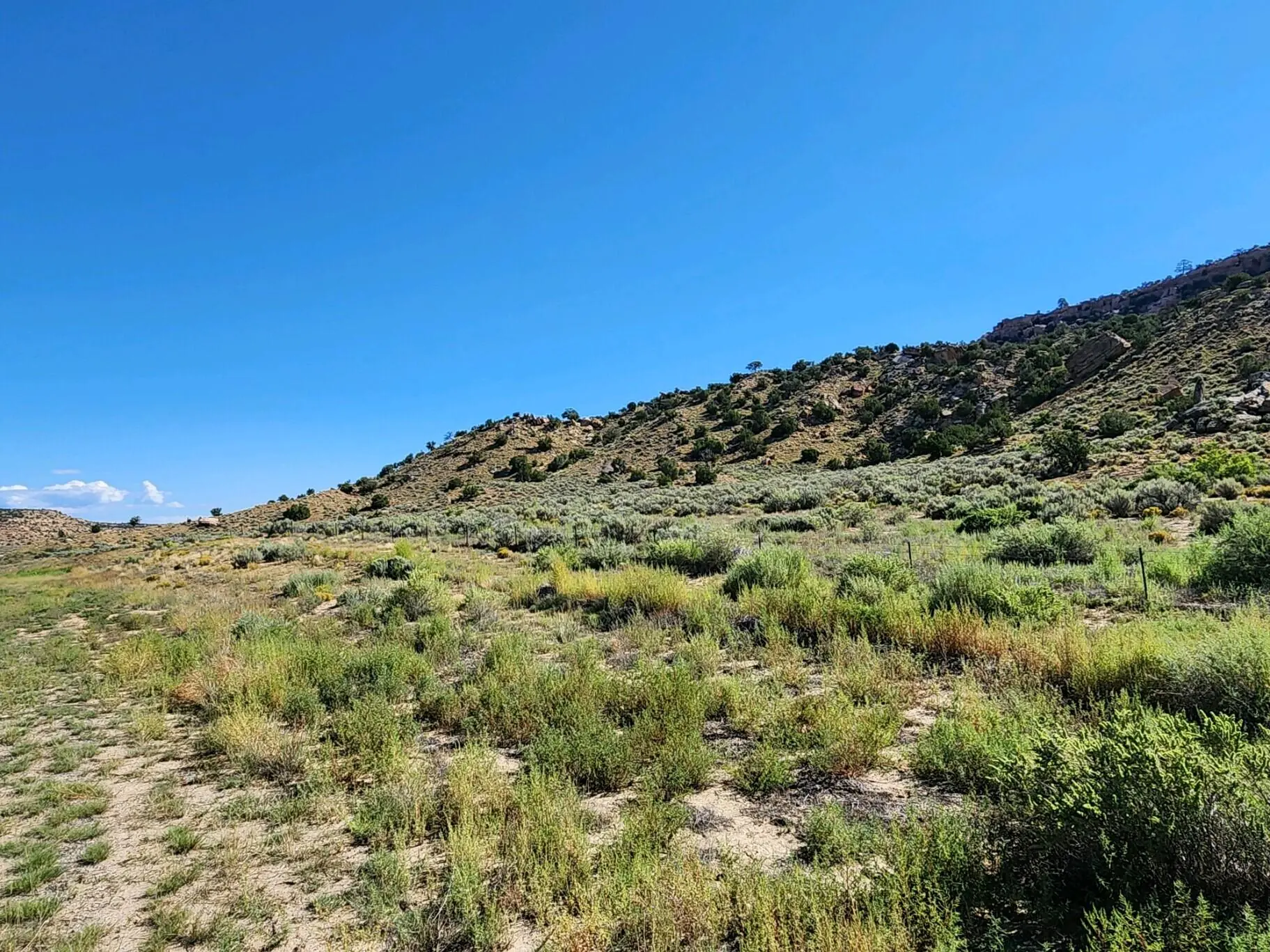 60 ac on Navajo Route 7140