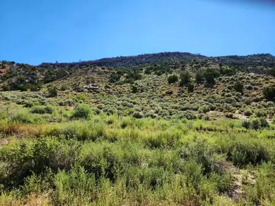 60 ac on Navajo Route 7140 