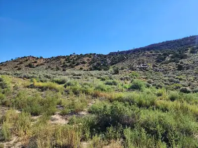 60 ac on Navajo Route 7140 