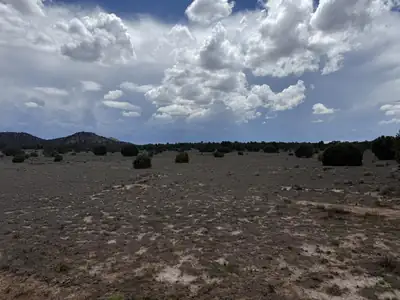 LOT: 129 ANTELOPE RUN Road 