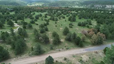 LOT N-12 LARGO CANYON LOOP, Quemado, NM 87829 
