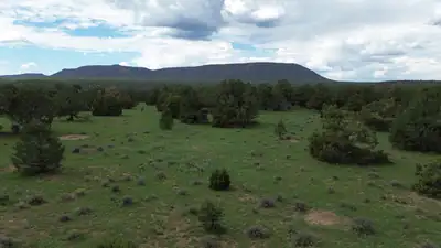 LOT N-12 LARGO CANYON LOOP, Quemado, NM 87829 