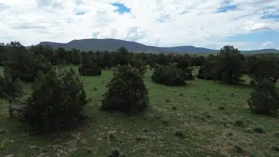 LOT N-12 LARGO CANYON LOOP, Quemado, NM 87829 