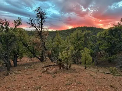 S11 21.205(AC) Venado Crest Road, Ramah, NM 87321 