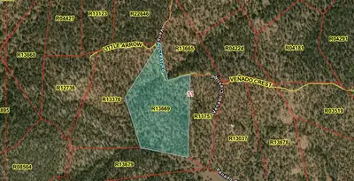S11 21.205(AC) Venado Crest Road, Ramah, NM 87321 