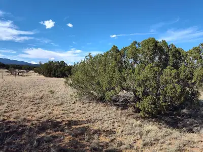 Old Abo Trail 